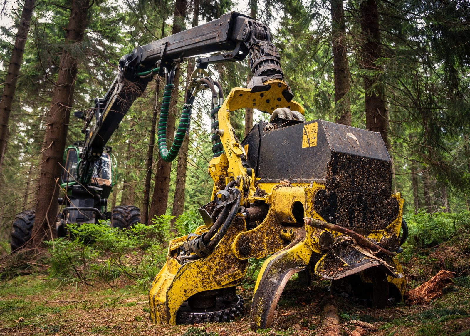 Heavy forestry machine clearing overgrown trees and brush from a wooded lot